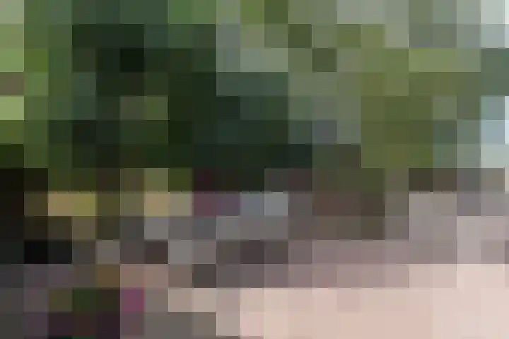 Kleasterwei 16 Tzummarum thumbnail 66