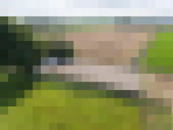Kleasterwei 16 Tzummarum thumbnail 71