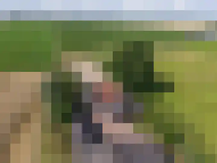 Kleasterwei 16 Tzummarum thumbnail 74