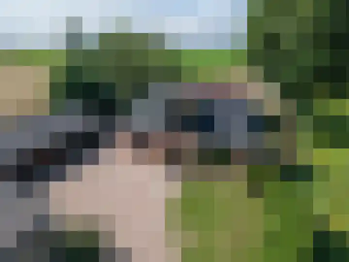 Kleasterwei 16 Tzummarum thumbnail 9