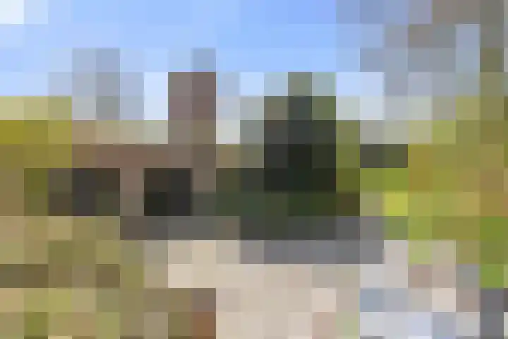 Kleasterwei 4 Tzummarum thumbnail 15