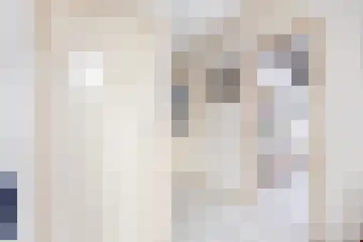 Kleasterwei 4 Tzummarum thumbnail 23