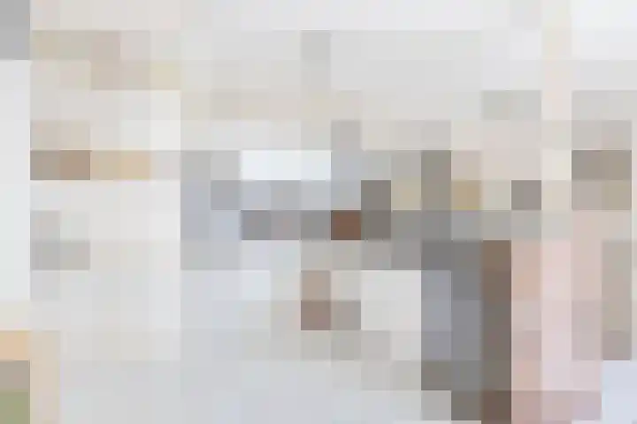 Kleasterwei 4 Tzummarum thumbnail 31