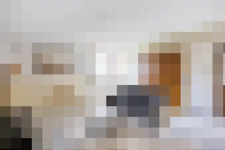 Kleasterwei 4 Tzummarum thumbnail 49