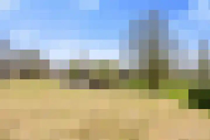 Kleasterwei 4 Tzummarum thumbnail 66