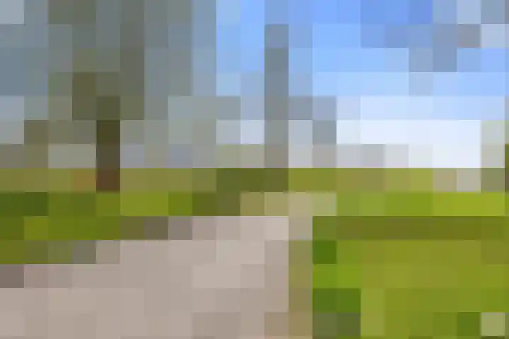 Kleasterwei 4 Tzummarum thumbnail 67
