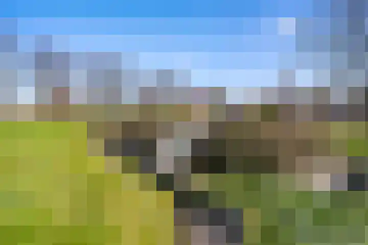 Kleasterwei 4 Tzummarum thumbnail 72