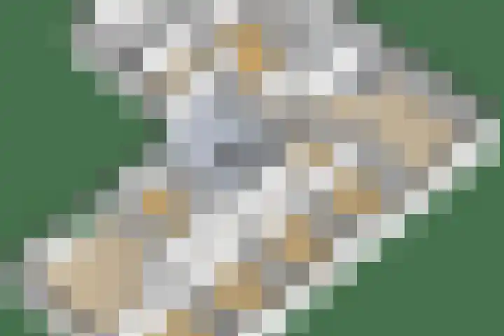 Kleasterwei 4 Tzummarum thumbnail 76
