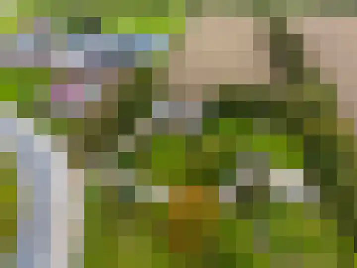 Kleasterwei 5 Tzummarum thumbnail 10