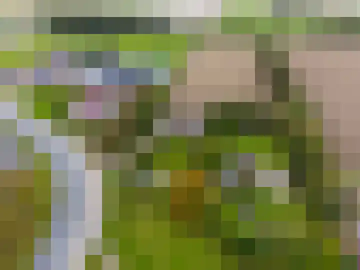 Kleasterwei 5 Tzummarum thumbnail 12