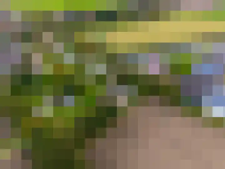 Kleasterwei 5 Tzummarum thumbnail 13