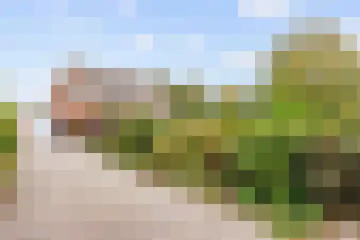 Kleasterwei 5 Tzummarum thumbnail 17