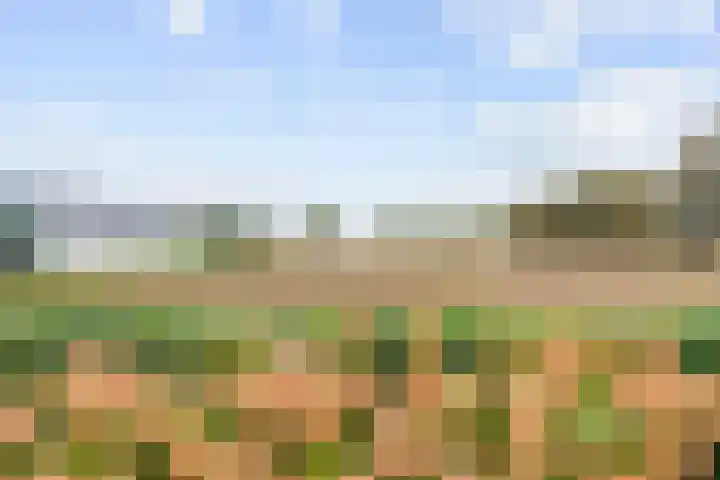 Kleasterwei 5 Tzummarum thumbnail 45