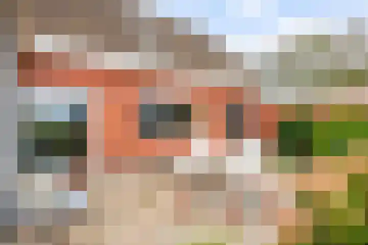 Kleasterwei 5 Tzummarum thumbnail 46