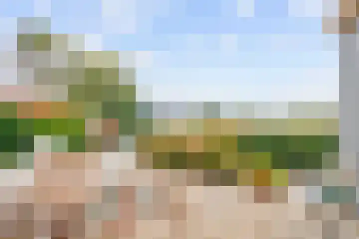 Kleasterwei 5 Tzummarum thumbnail 47