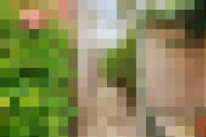 Kleasterwei 5 Tzummarum thumbnail 48
