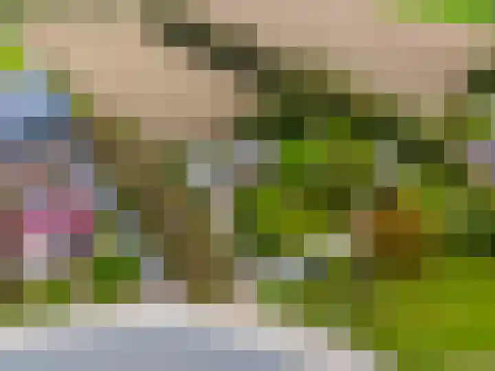 Kleasterwei 5 Tzummarum thumbnail 62
