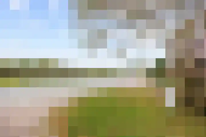 Kleasterwei 5 Tzummarum thumbnail 63