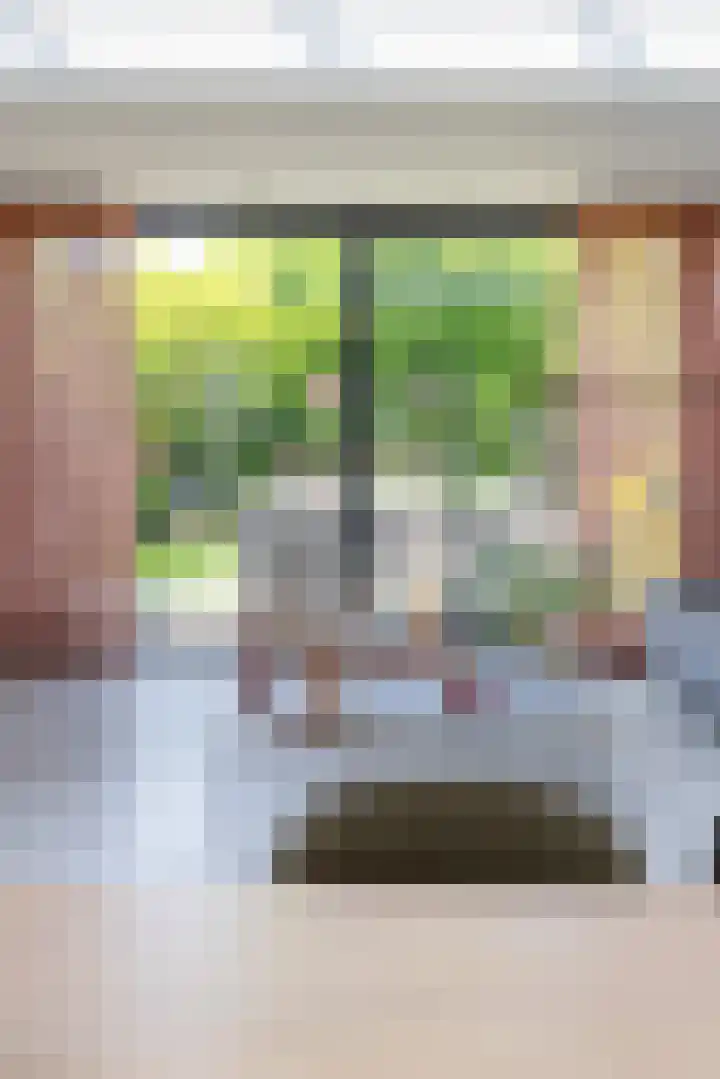 Kleefkruid 13 Venray thumbnail 17