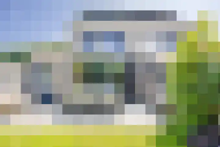 Kleefkruid 13 Venray thumbnail 50