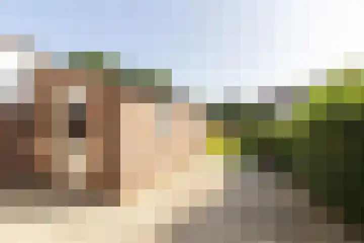 Kleefstraat 31 Echt thumbnail 16