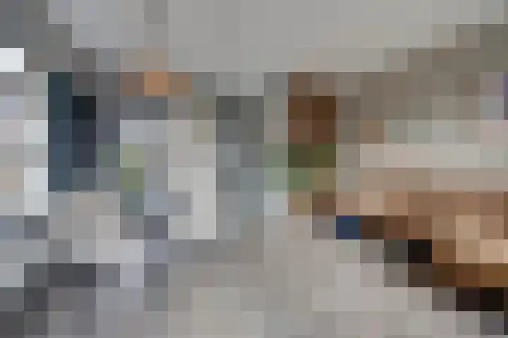 Kleermakersgilde 113 Dronten thumbnail 11