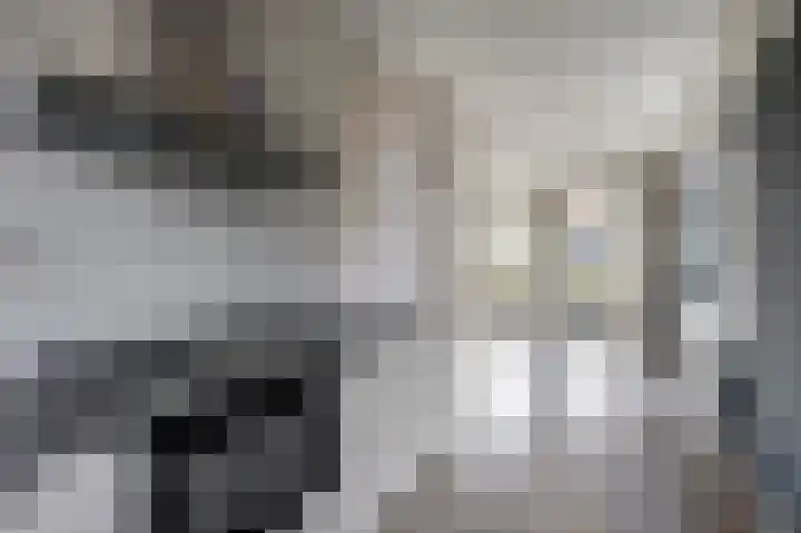 Kleermakersgilde 113 Dronten thumbnail 14