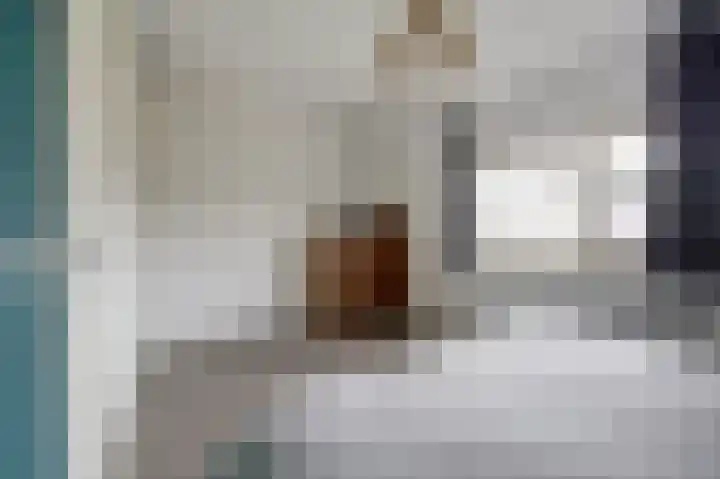 Kleermakersgilde 113 Dronten thumbnail 19