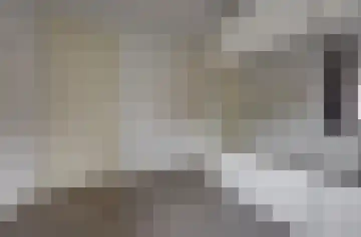 Kleermakersgilde 113 Dronten thumbnail 21
