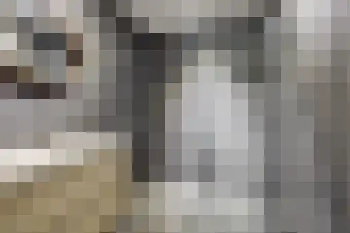 Kleermakersgilde 113 Dronten thumbnail 23