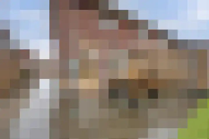 Kleermakersgilde 113 Dronten thumbnail 25