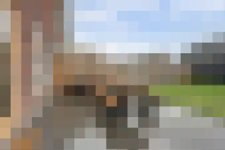 Kleermakersgilde 113 Dronten thumbnail 26