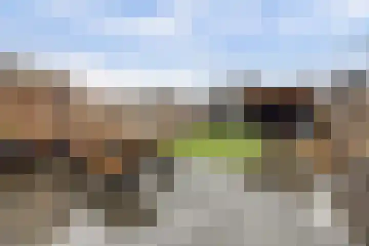 Kleermakersgilde 113 Dronten thumbnail 27