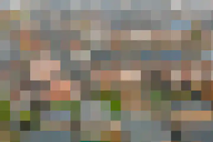 Kleermakersgilde 113 Dronten thumbnail 36