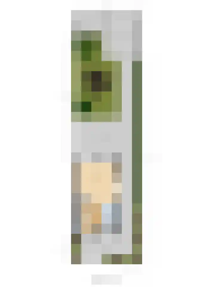 Kleermakersgilde 113 Dronten thumbnail 37