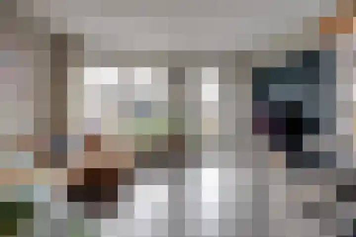 Kleermakersgilde 113 Dronten thumbnail 8