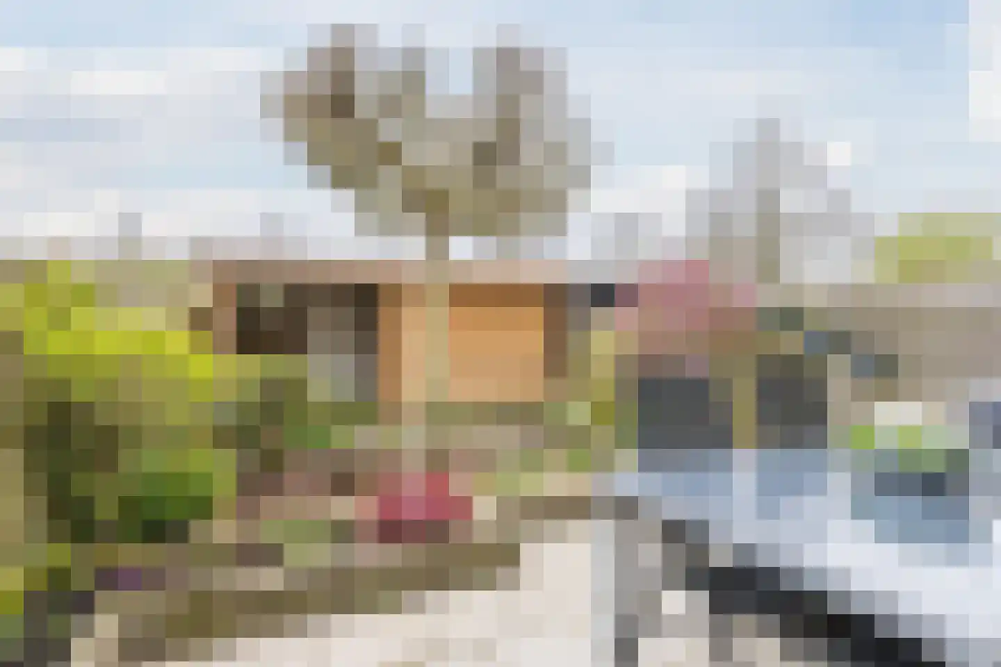 Kleienburg 49 Bodegraven thumbnail 67