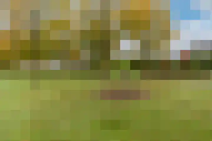 Kleiheuvel 18 Best thumbnail 39