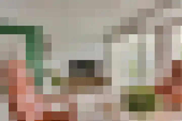 Kleiheuvel 18 Best thumbnail 8