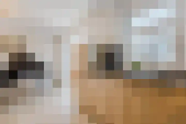 Kleiheuvel 4 Best thumbnail 19