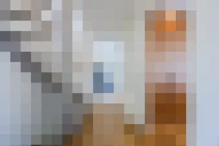 Kleiheuvel 4 Best thumbnail 24