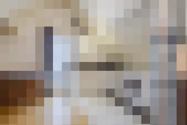 Kleiheuvel 4 Best thumbnail 40