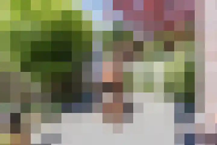Kleiheuvel 4 Best thumbnail 45