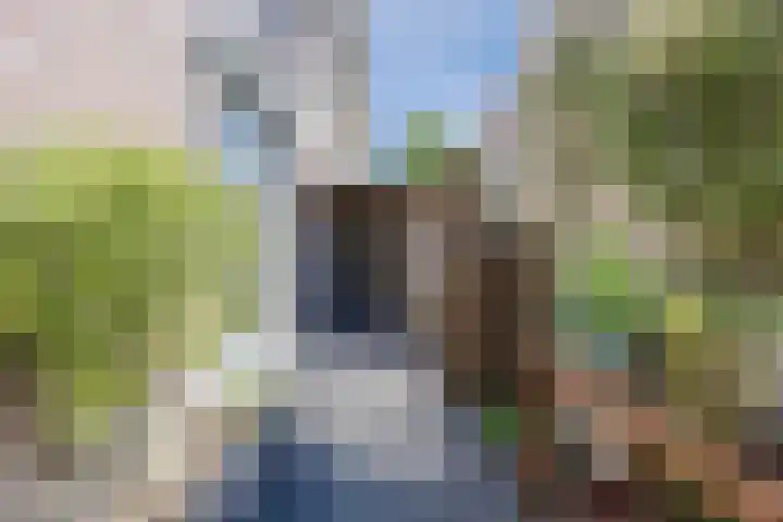 Kleiheuvel 4 Best thumbnail 50