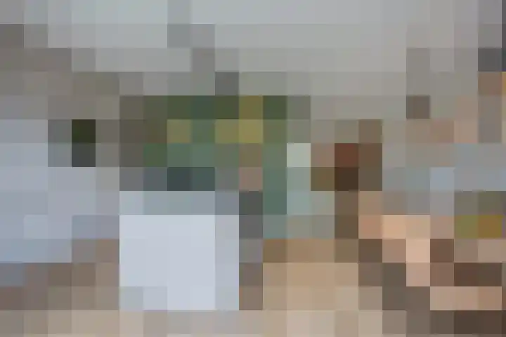 Kleihorst 24 Enter thumbnail 12