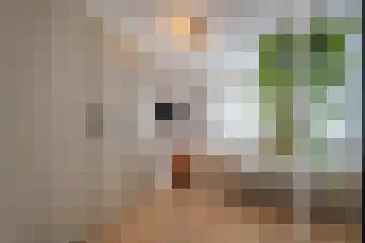 Kleihorst 24 Enter thumbnail 13