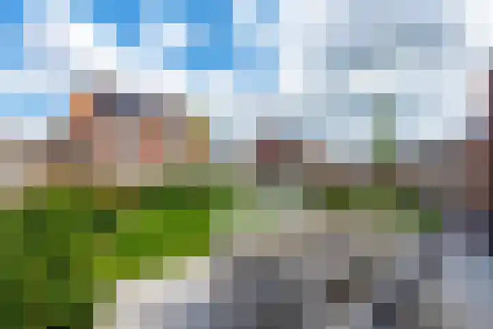 Kleihorst 24 Enter thumbnail 20