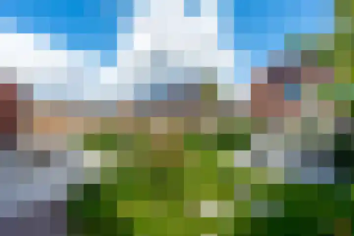 Kleihorst 24 Enter thumbnail 21