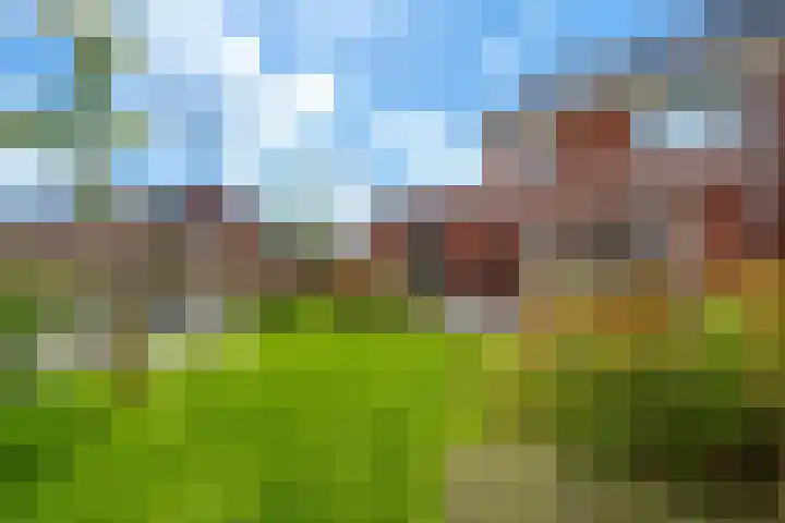 Kleihorst 24 Enter thumbnail 22
