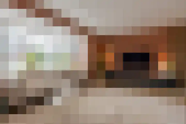 Kleihorst 24 Enter thumbnail 7